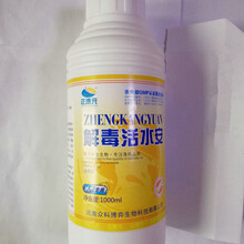 世連健康集團 引領食品銷售新潮流，守護全民健康生活