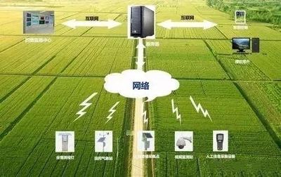 未來農業科技暢想曲 植物工廠、智慧農業與功能食品的技術交響